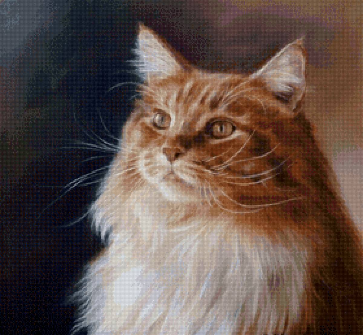 Рыжий кот - животные, кошачий портрет, кошки - предпросмотр