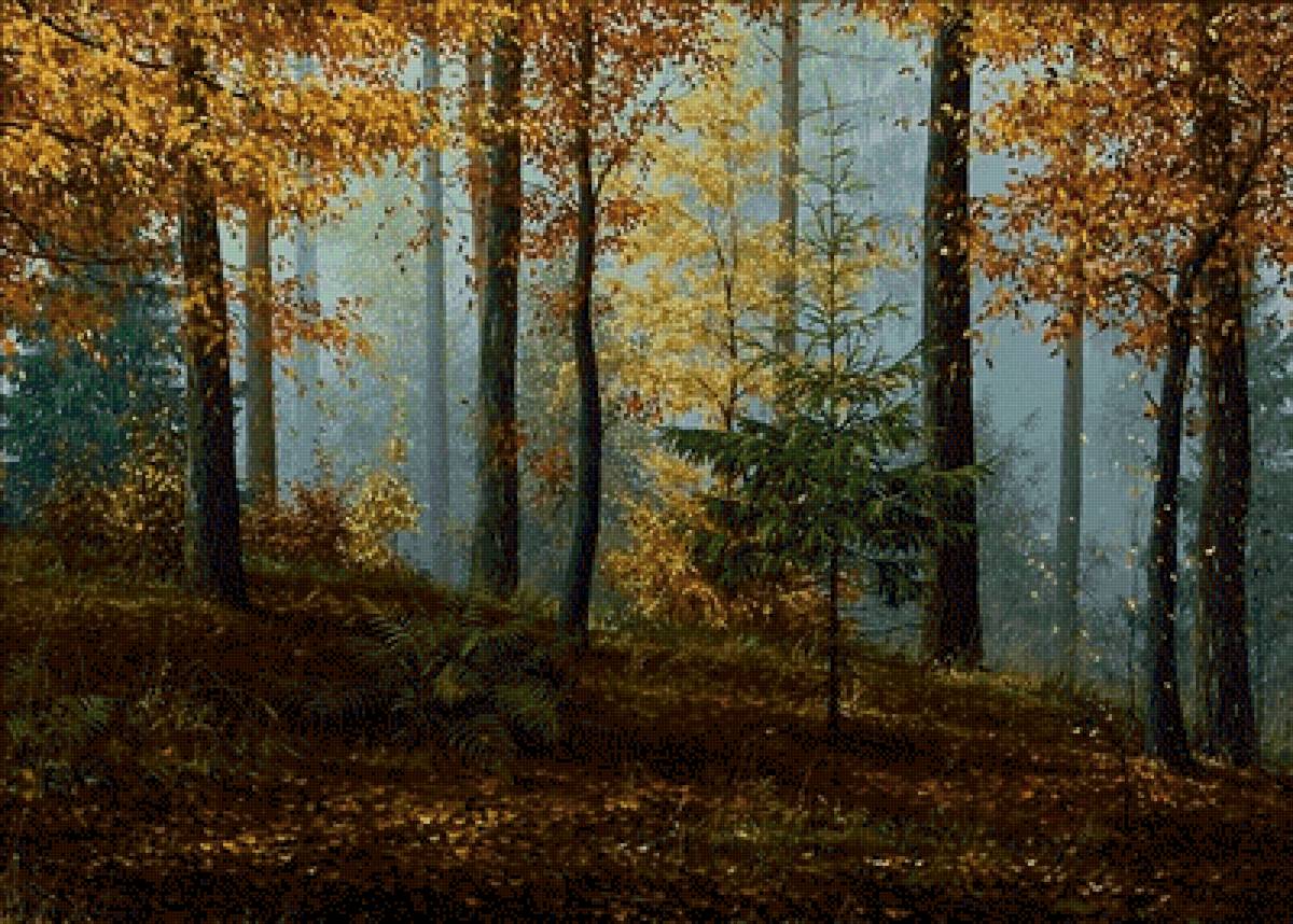 Осень в лесу - пейзаж, осень, анищенко, парк - предпросмотр
