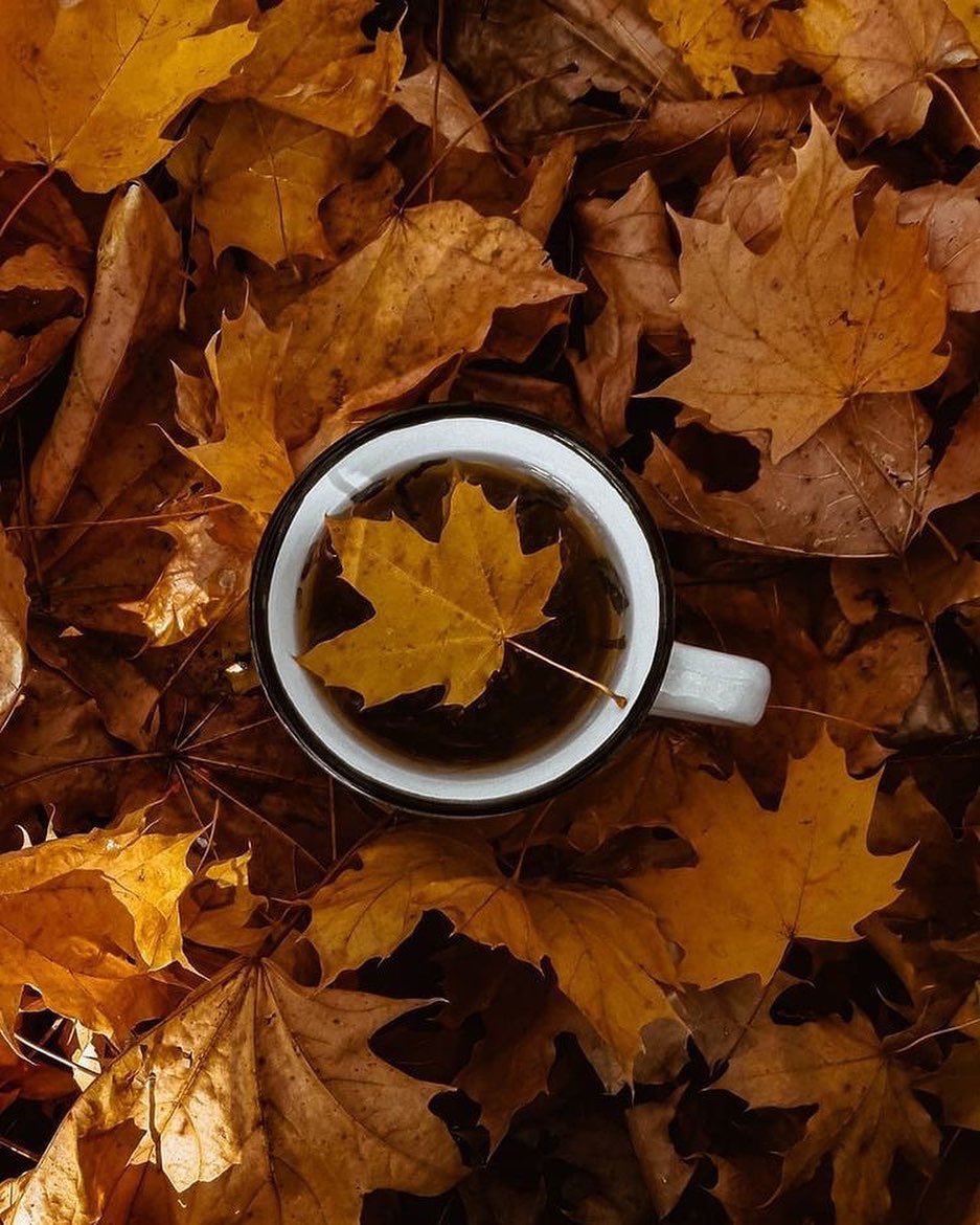 Вот и осень - кленовый лист, чай, осень, кофе, желтые листья, чашка - оригинал