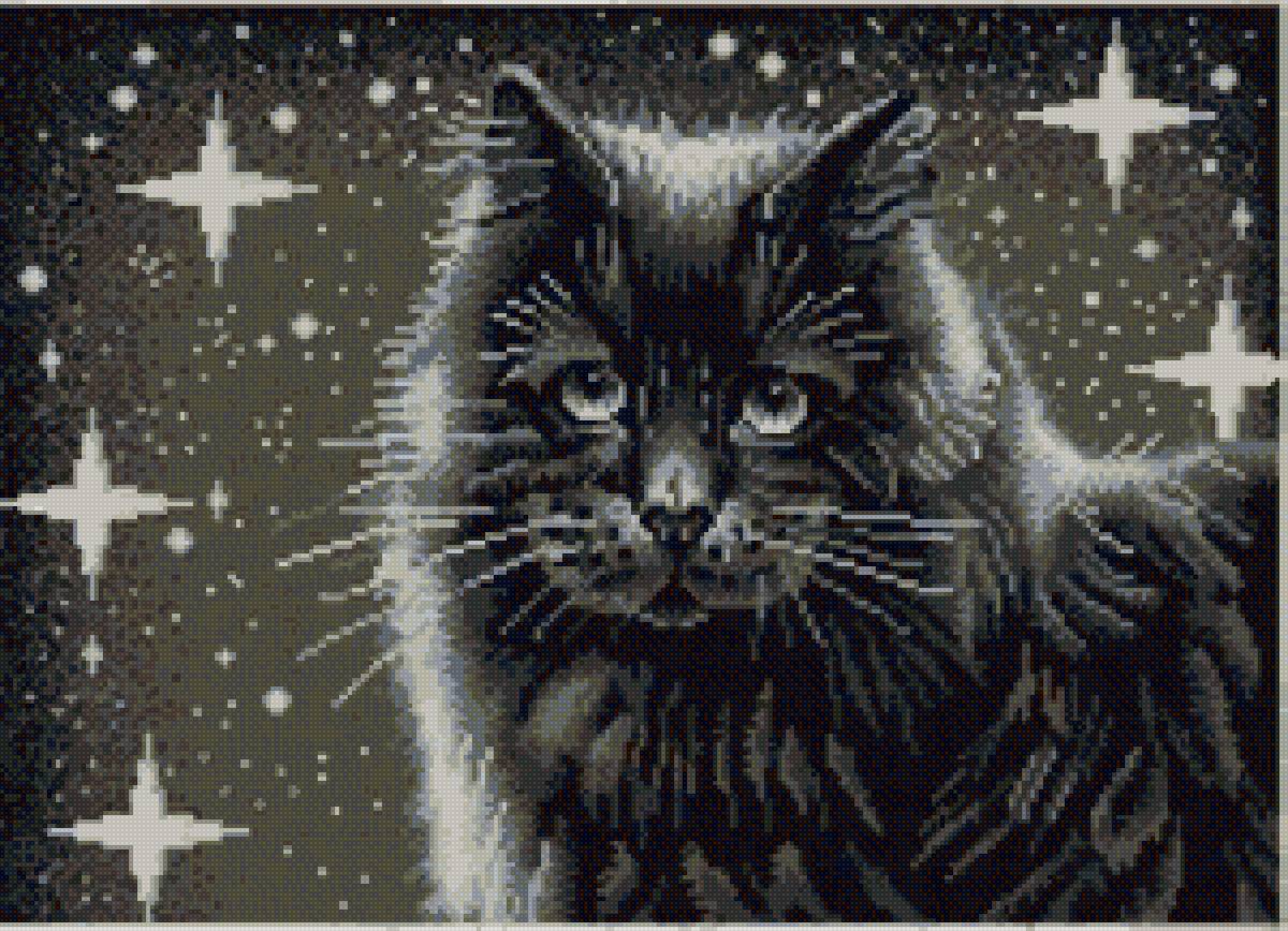 кот - ночь, кот, звезды - предпросмотр