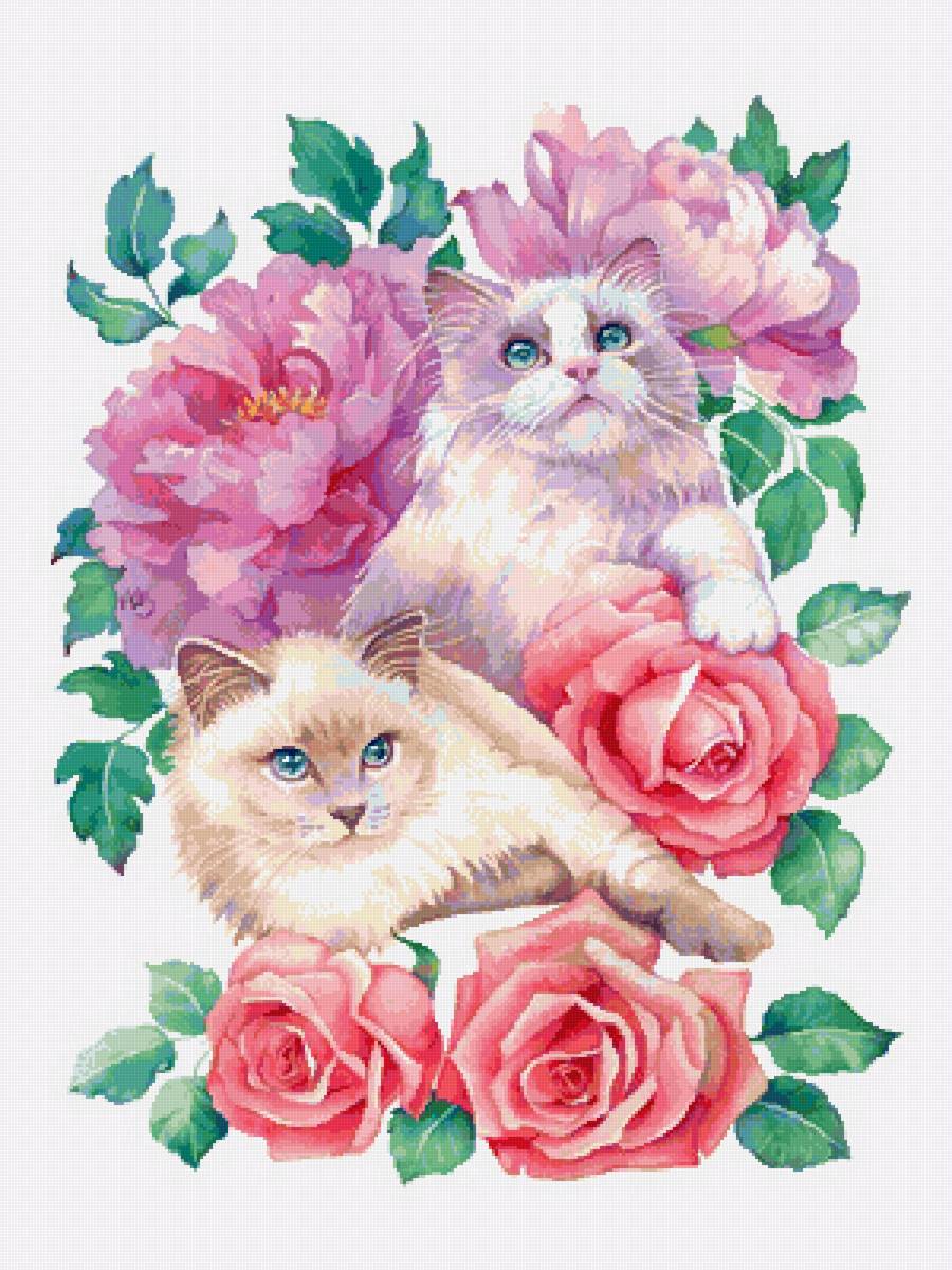 Коты в цветах - коты - предпросмотр