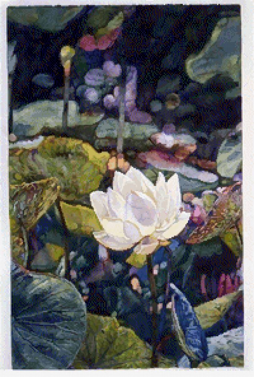 Озеро лотосов - кувшинки, озеро, вода, лотос, пейзаж - предпросмотр