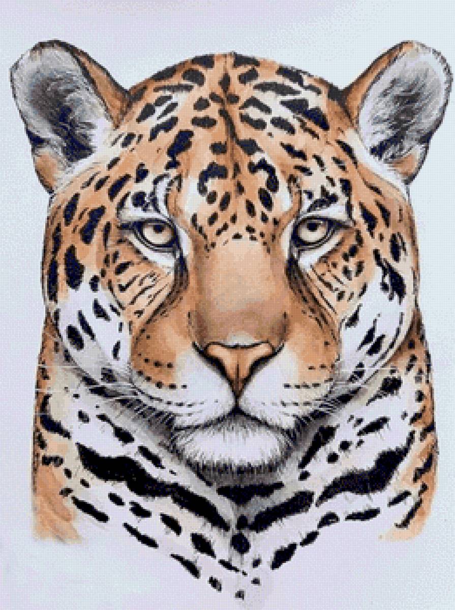 Экзотический кот - дикая кошка, леопард, экзотика - предпросмотр