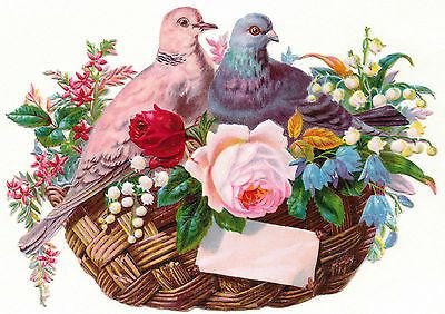 Голуби - птицы - оригинал