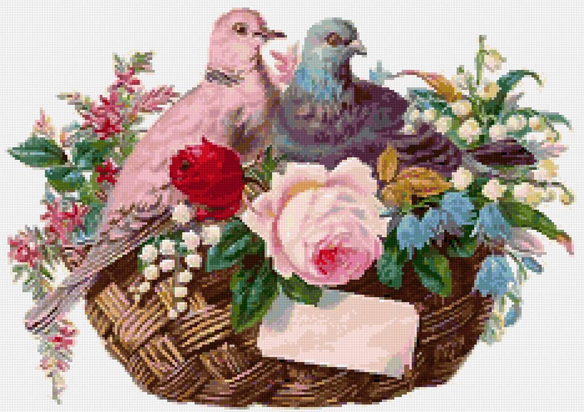 Голуби - птицы - предпросмотр