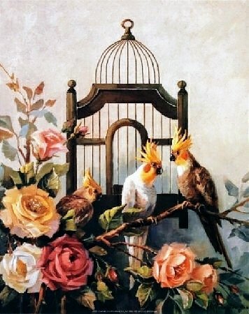 №2565558 - попугаи, птицы, цветы, пара - оригинал