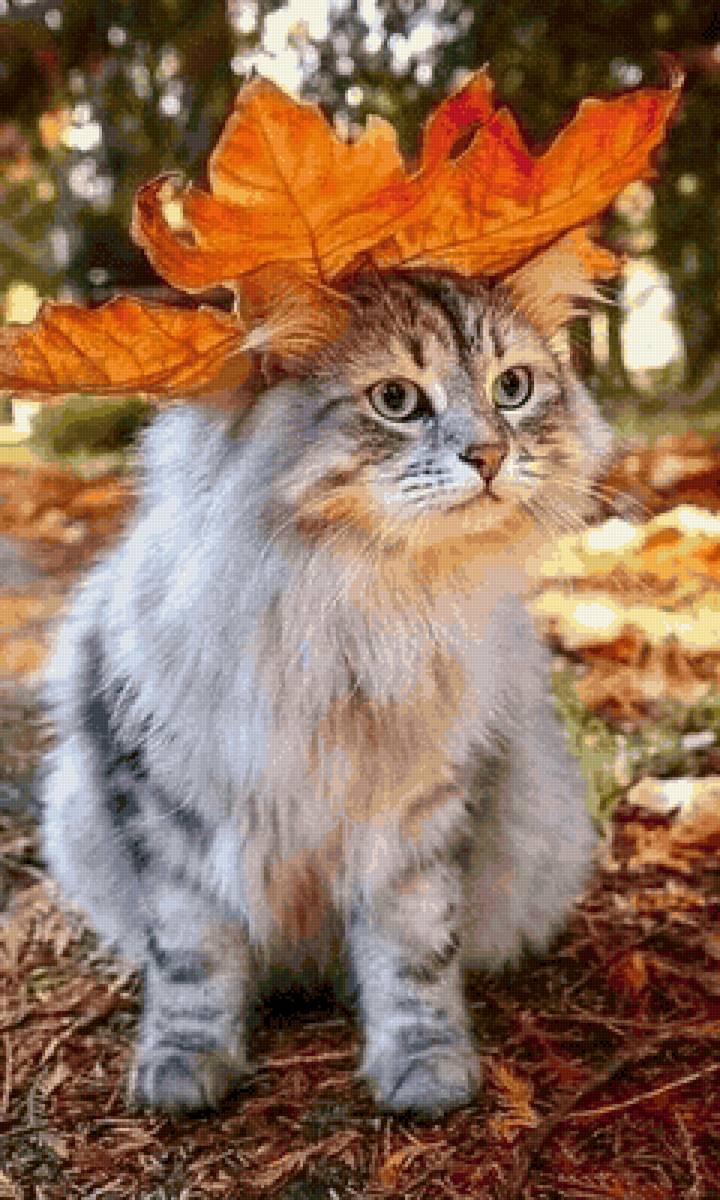 Осень - лес, осень, кошки - предпросмотр