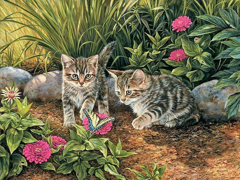 Котята - лето, котята - оригинал