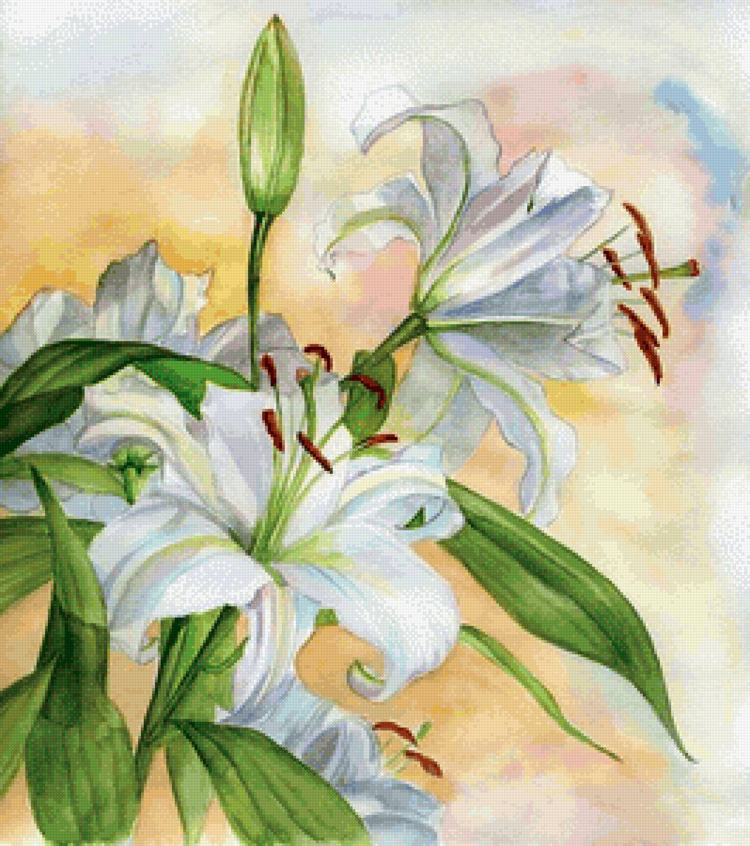 Акварельные лилии - цветы, лилии - предпросмотр