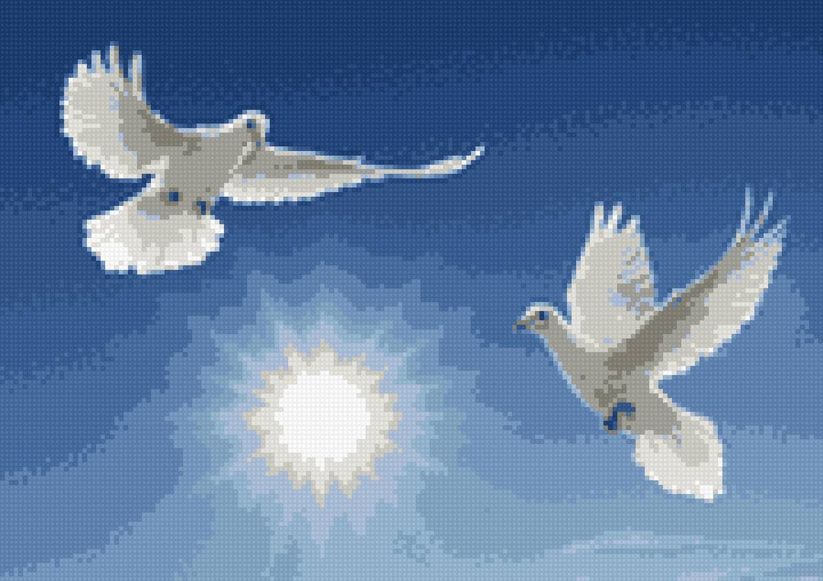 Голубки - в небе - предпросмотр