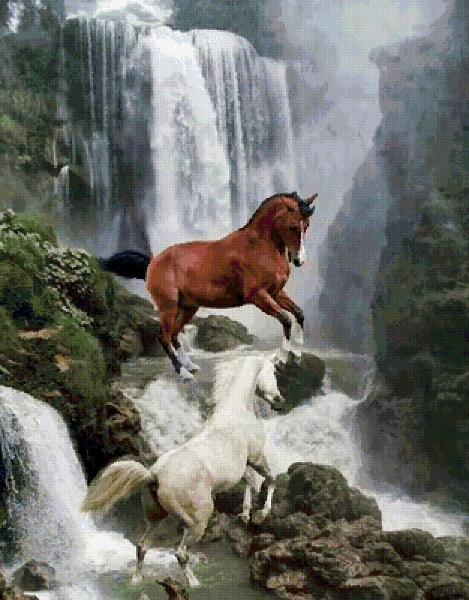 №2567528 - животные, кони, природа - предпросмотр