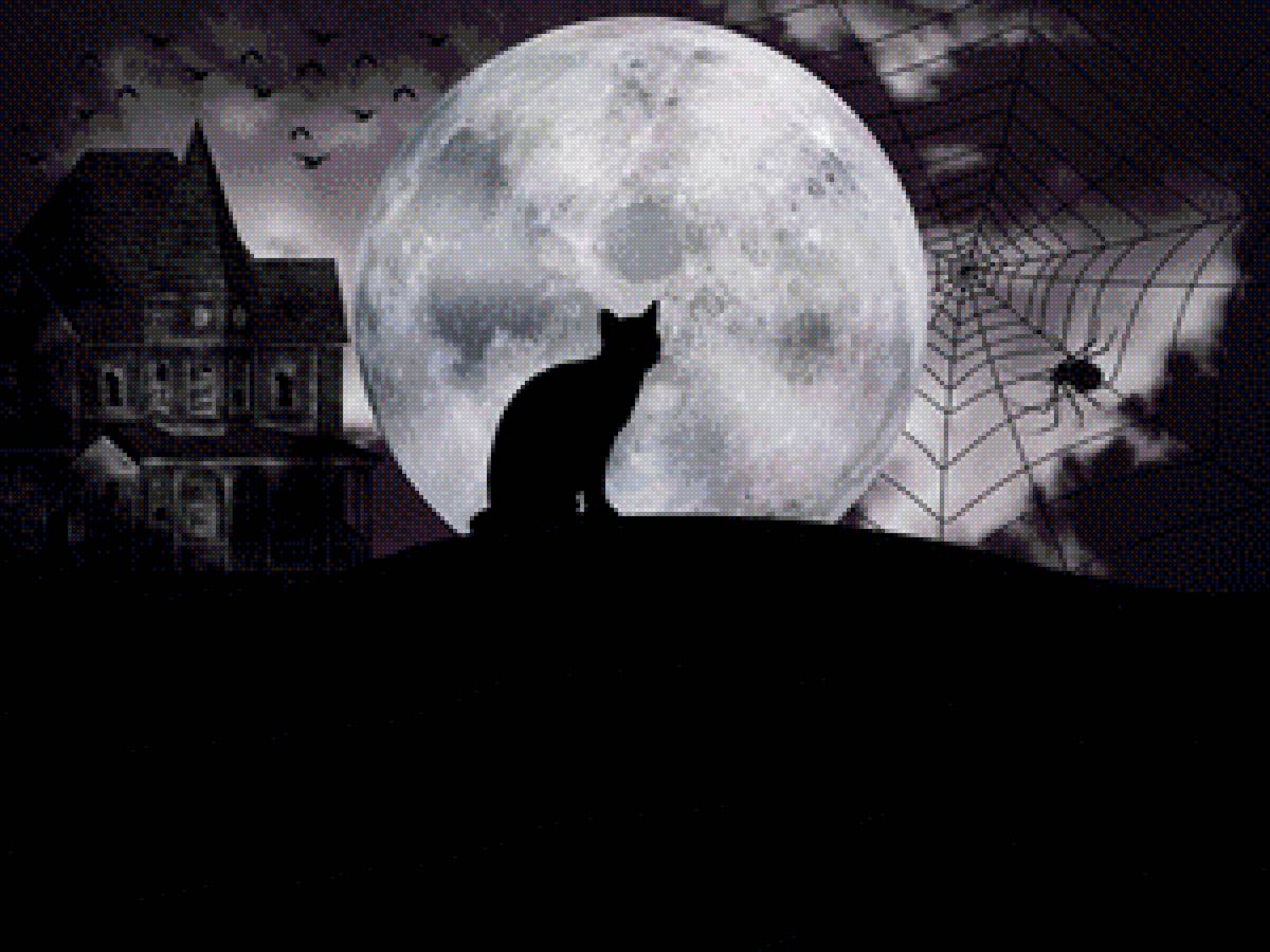 кот и луна - ночь, луна, кот - предпросмотр
