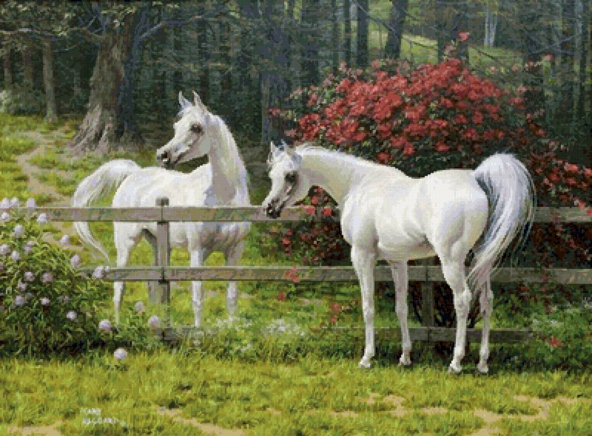 №2568095 - природа, пара, животные, кони - предпросмотр