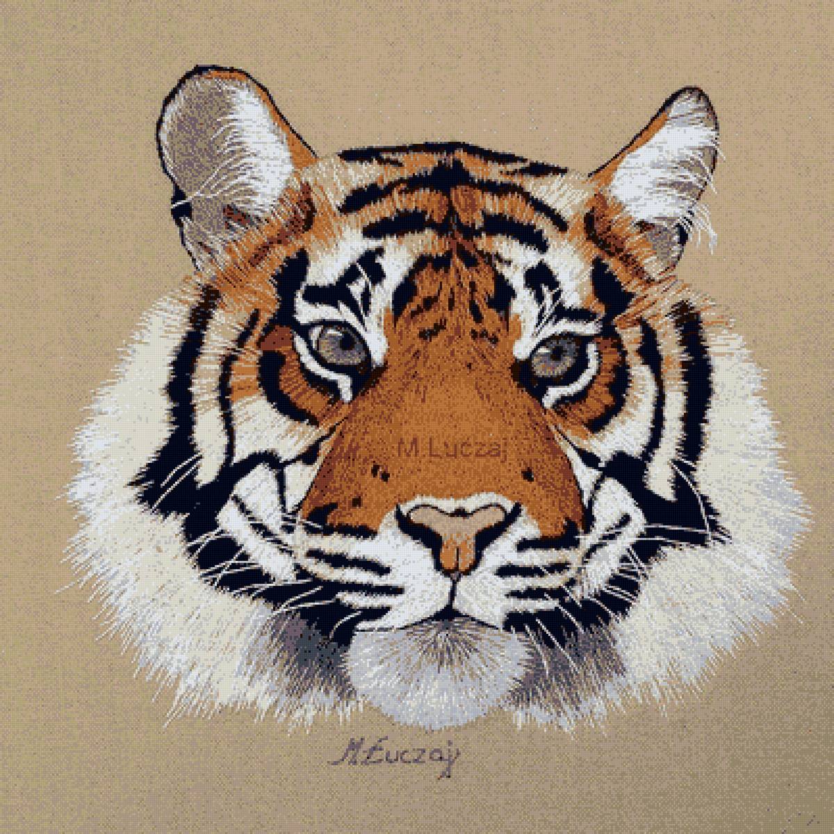 №2568192 - предпросмотр