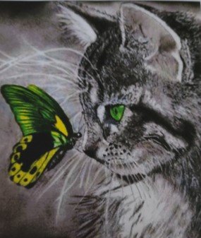 gato mariposa - оригинал