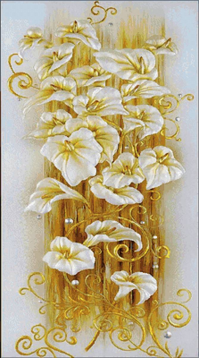 №2568320 - цветы, каллы - предпросмотр