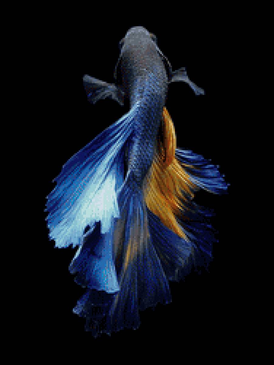 Рыбка - рыбка, море - предпросмотр