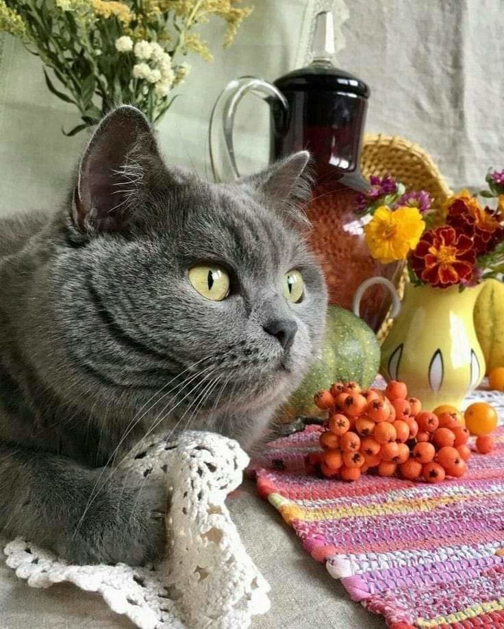 №2568364 - оригинал