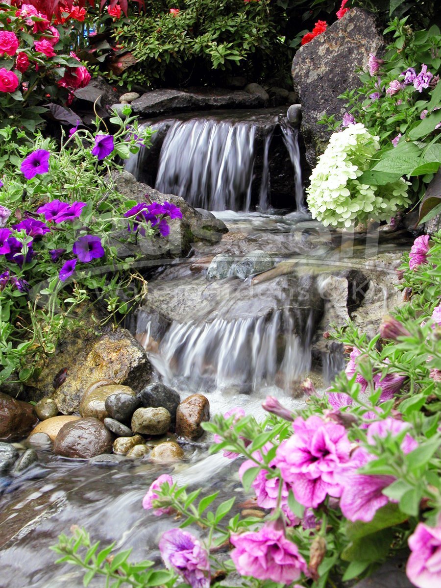 Водопад - вода, природа, водопад, цветы - оригинал