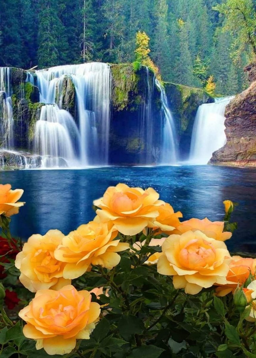 Водопад - цветы, природа, вода, розы, водопад - оригинал