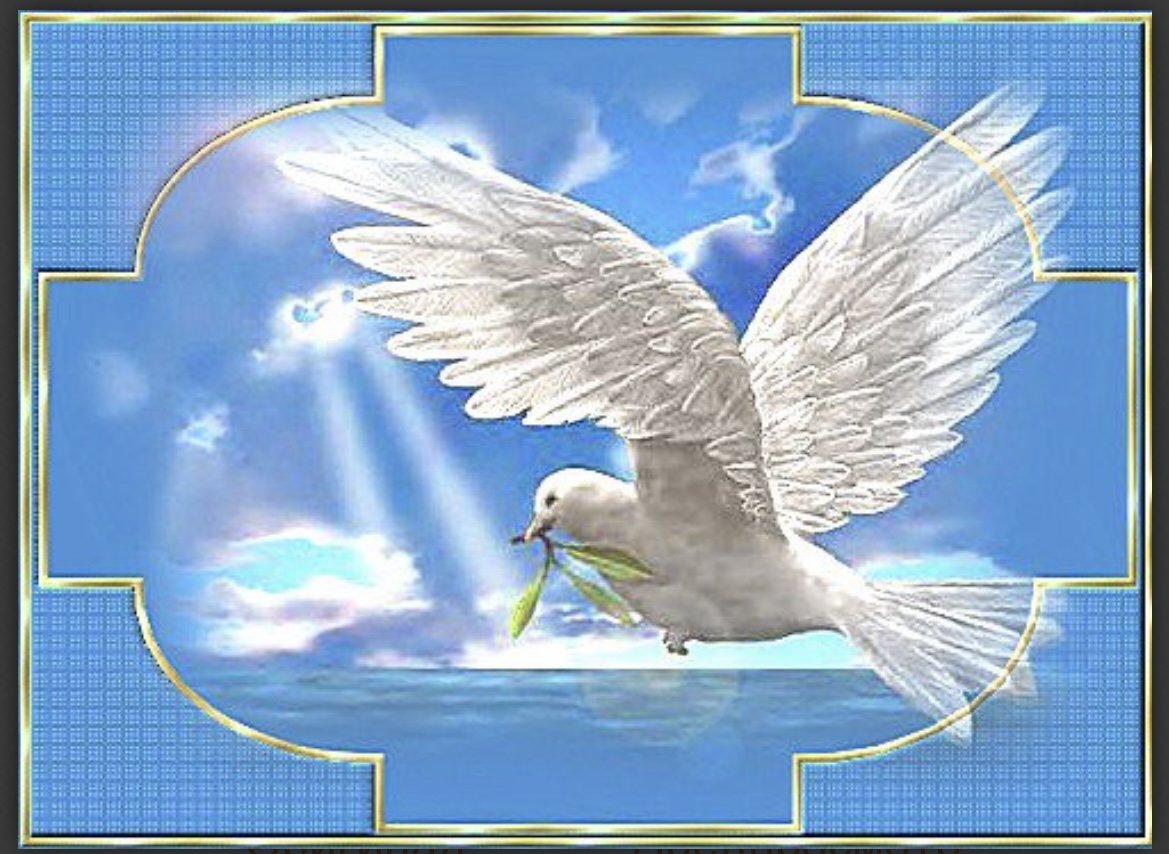 Голубка в небе - голубка - оригинал