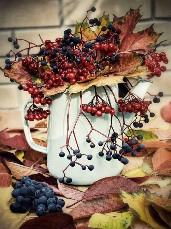 Снова осень... - осень, натюрморт, ягоды - оригинал