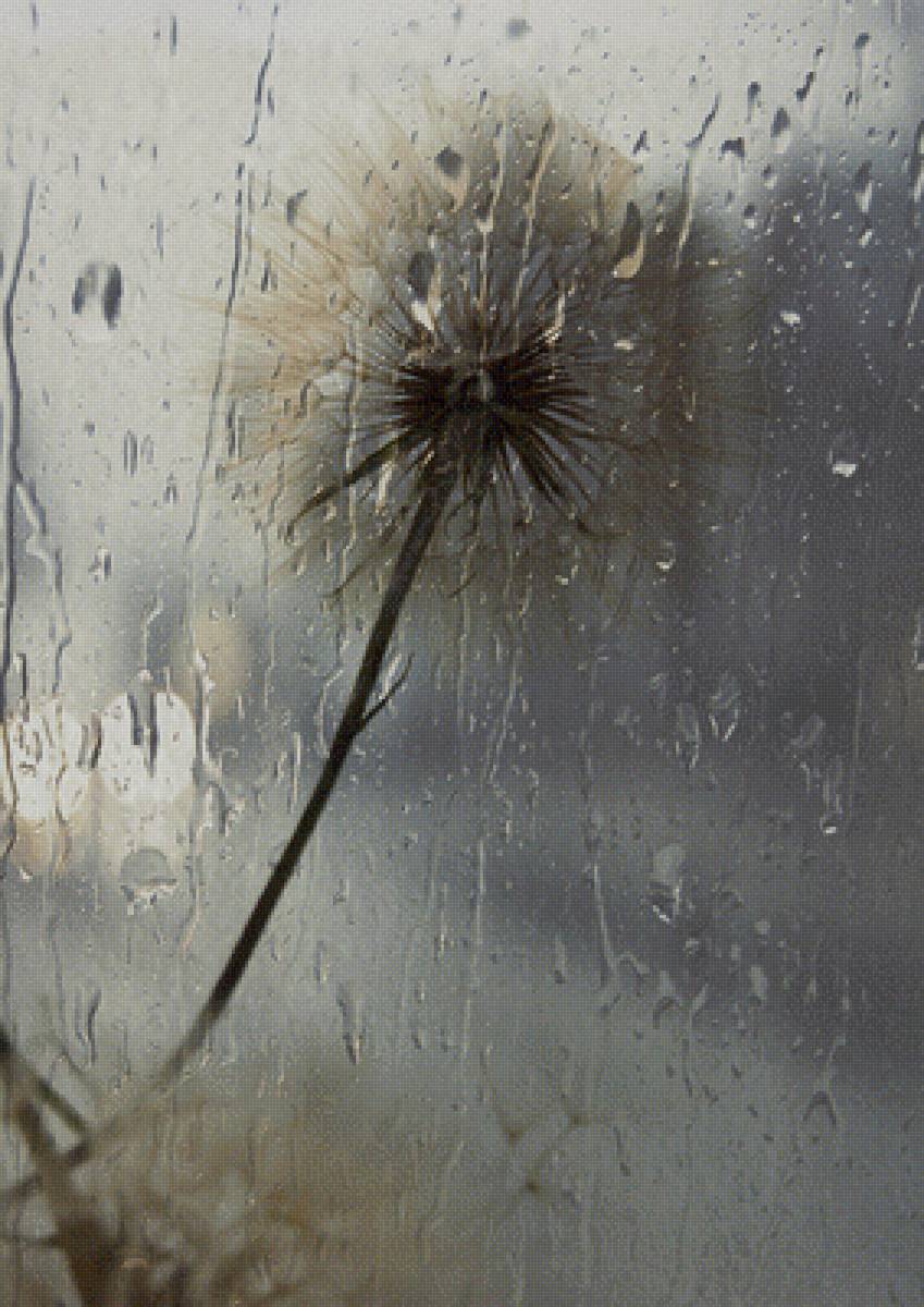 Про дождь - одуванчик, дождь - предпросмотр