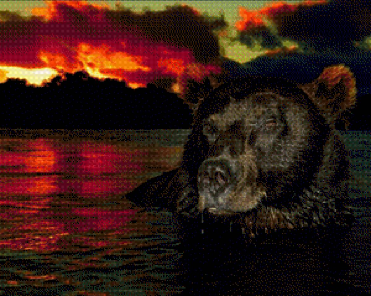 Медведь на закате - закат, медведь, барибал, бурый медведь, черный медведь, купание - предпросмотр