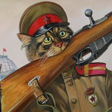 Боевой кот, пнк