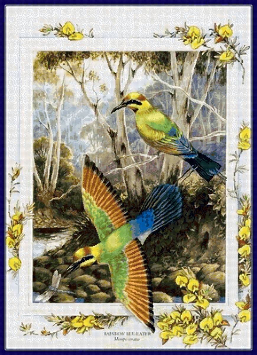 №2570275 - пара, птицы - предпросмотр