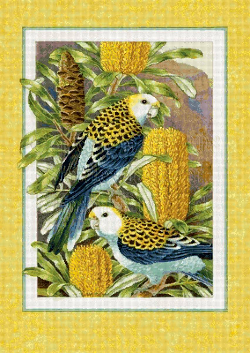 №2570298 - птицы, пара - предпросмотр