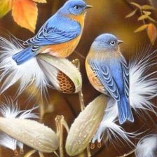 Схема вышивки «№2570365»