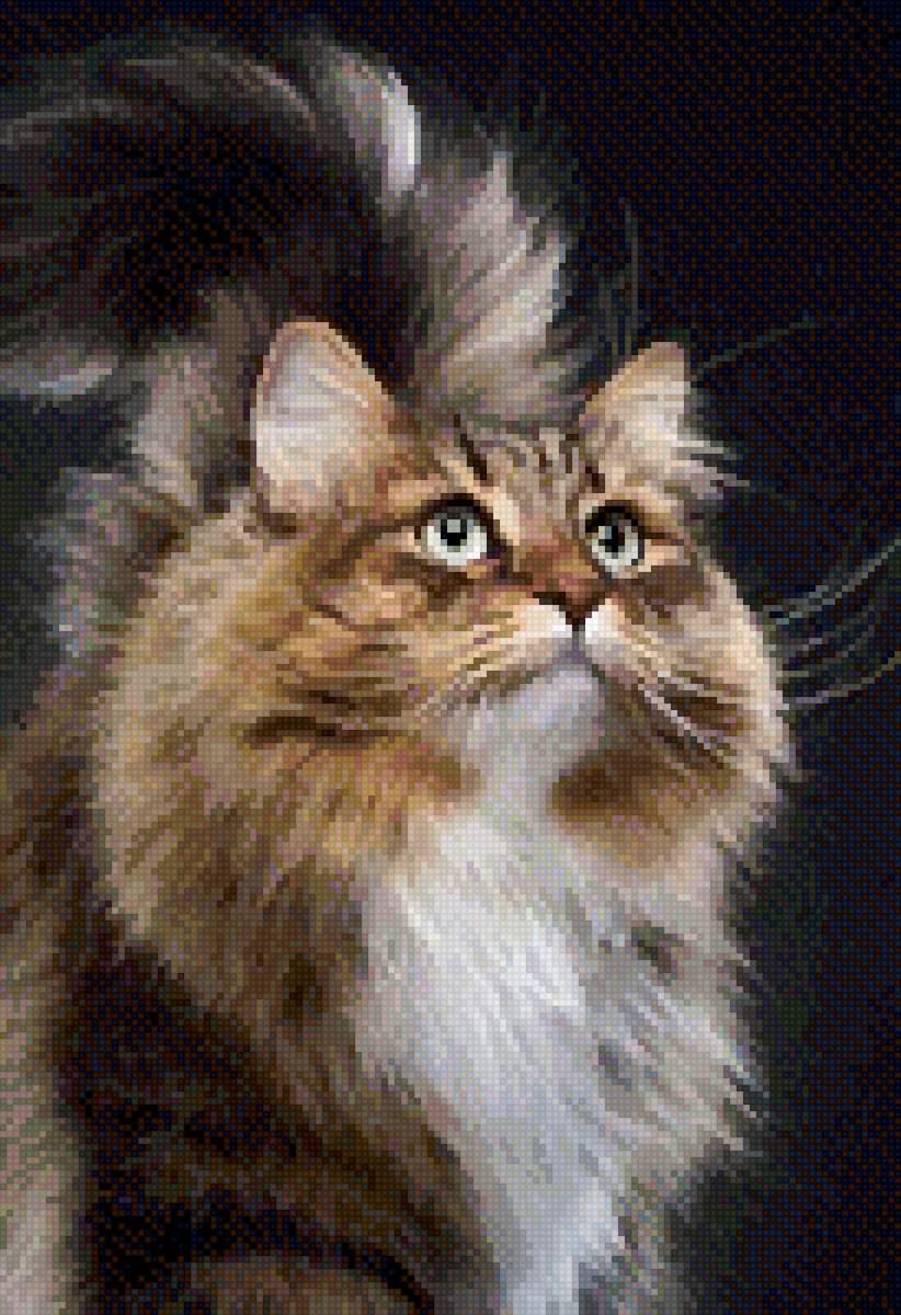 Котик - котик, животные - предпросмотр