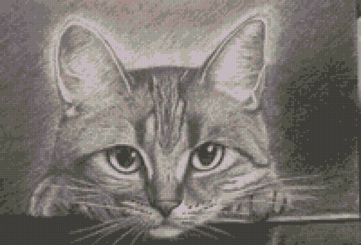 кошка монохром - предпросмотр