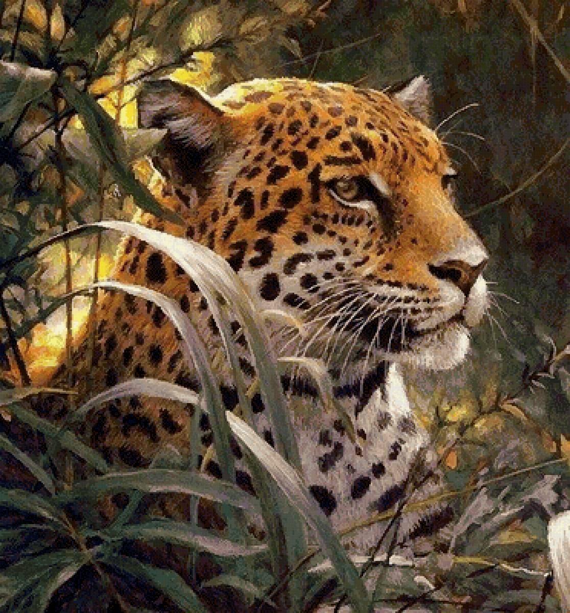 №2570566 - леопард, животные - предпросмотр