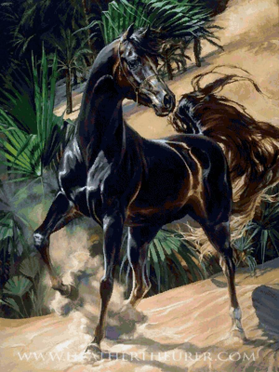 №2571534 - животные, конь - предпросмотр