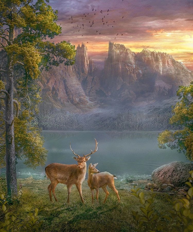 Олени - олени, пейзаж, вода - оригинал