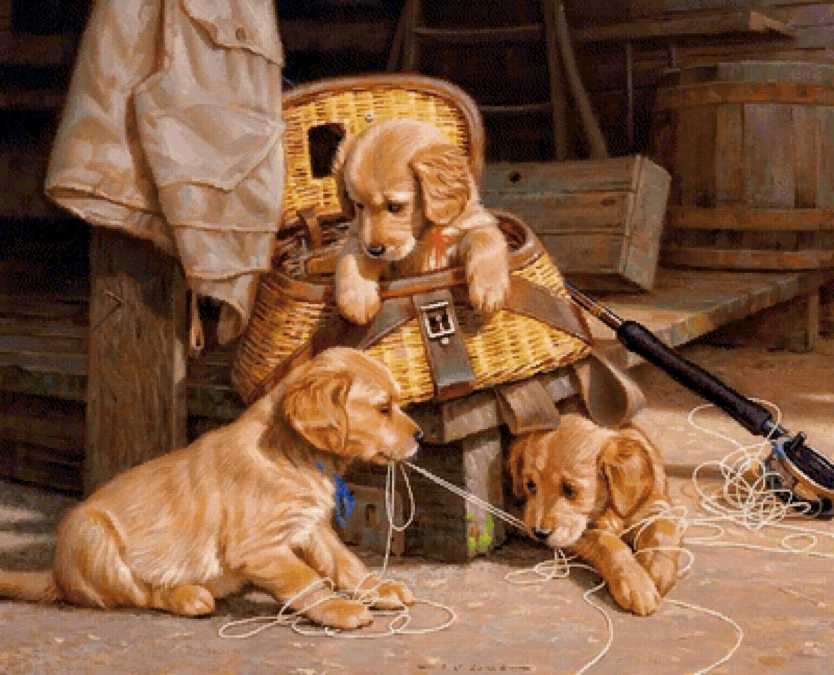 Щеночки - щенки - предпросмотр