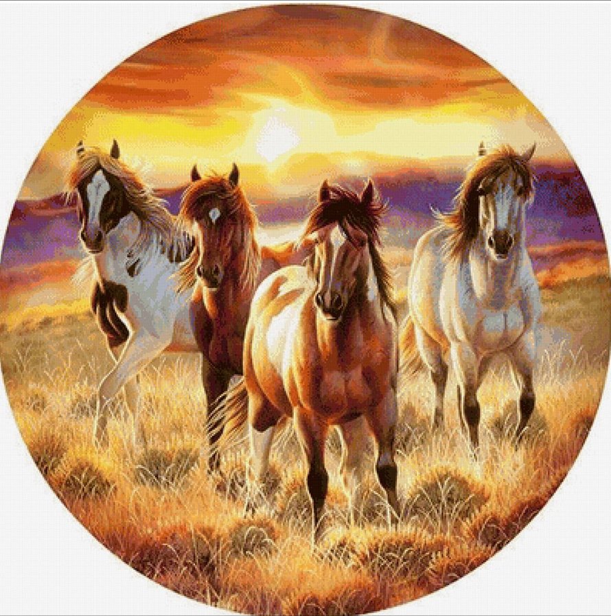 Лошади на закате - лошади. животные - оригинал