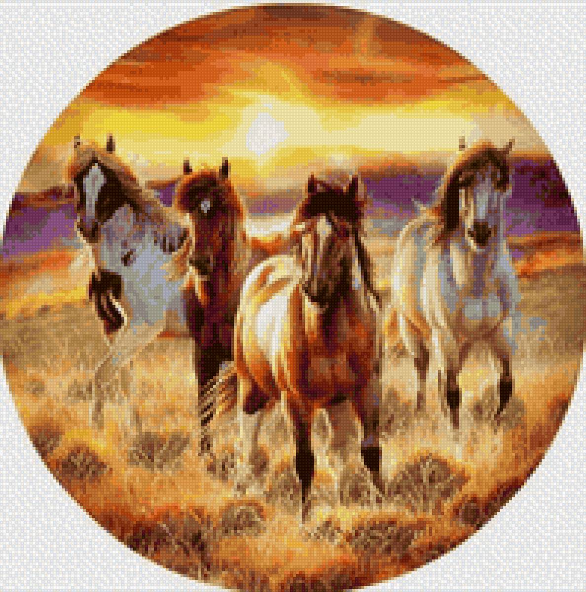 Лошади на закате - лошади. животные - предпросмотр