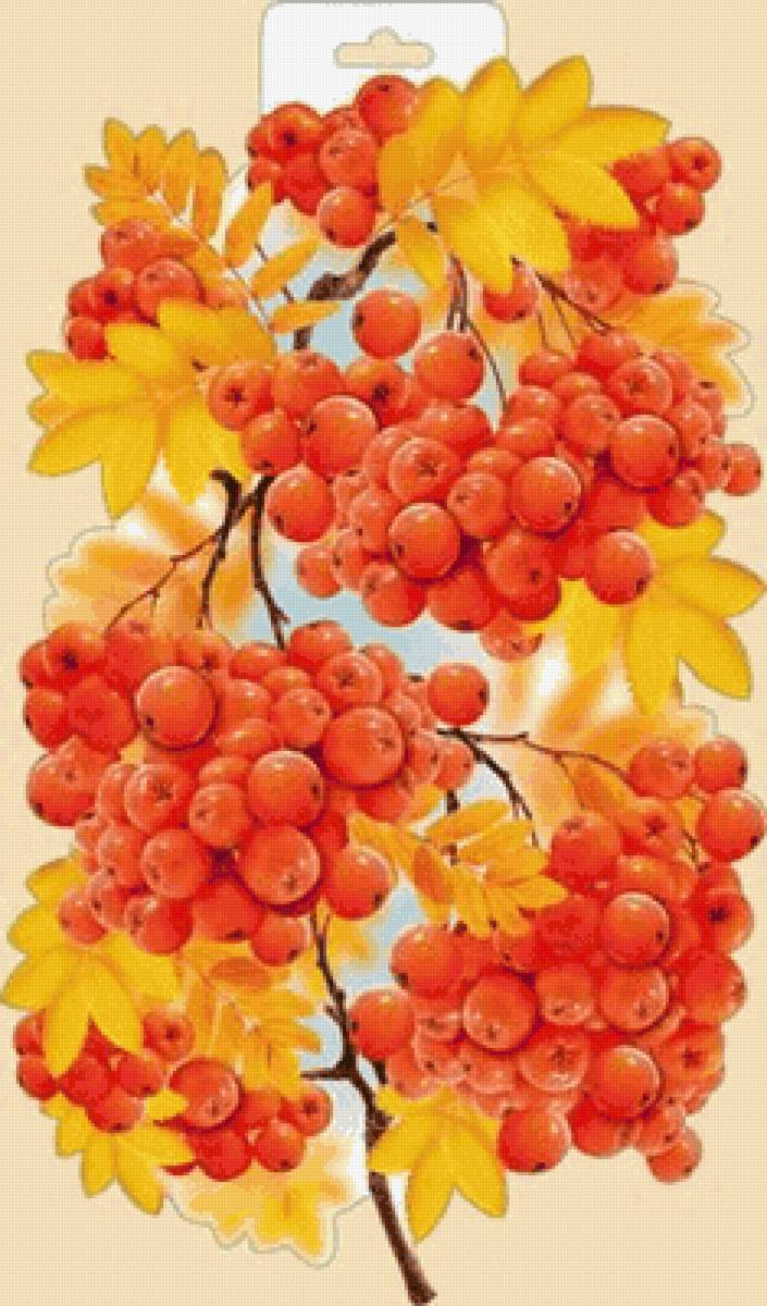 №2572297 - предпросмотр