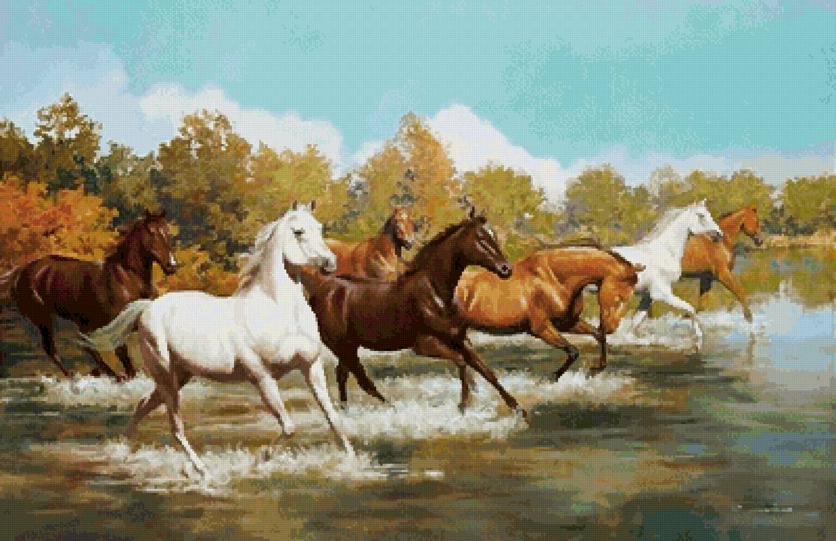 №2572426 - кони, табун, животные - предпросмотр