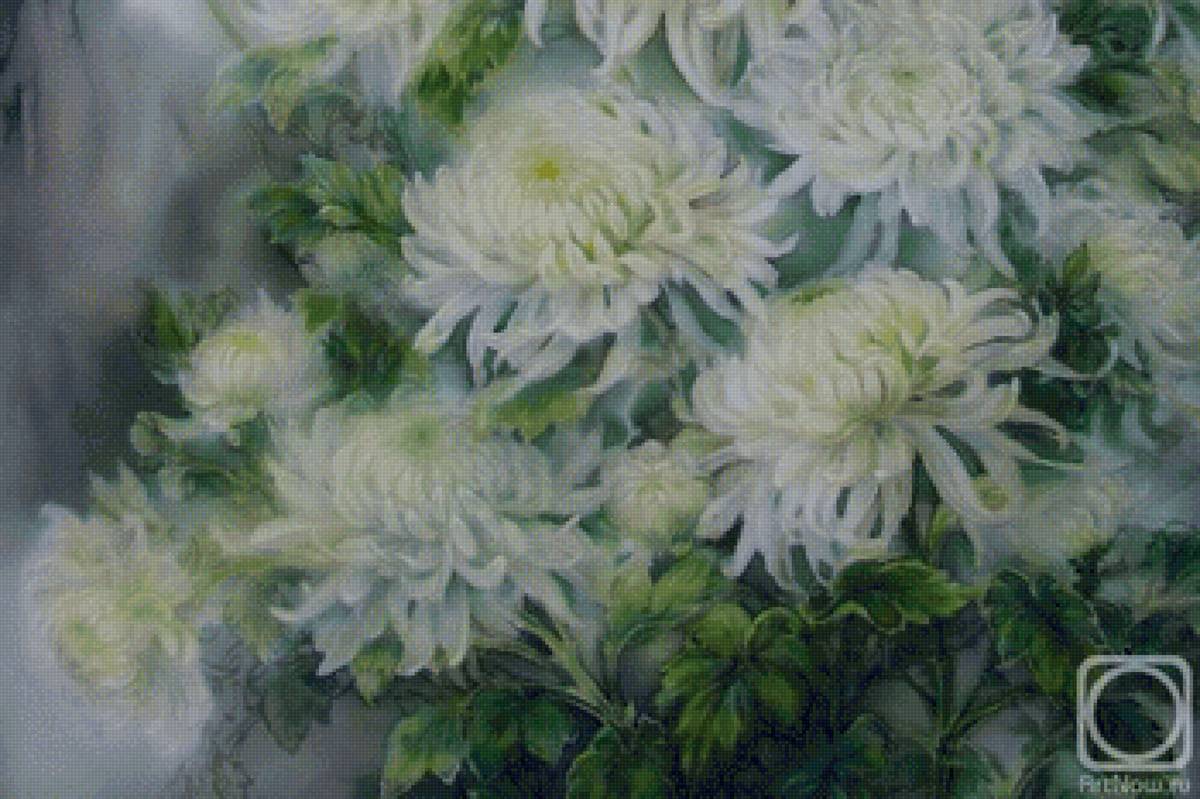 Белые хризантемы - цветы, живопись, хризантемы - предпросмотр