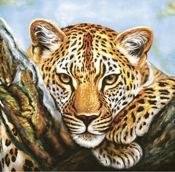 №2573092 - дикие животные - оригинал