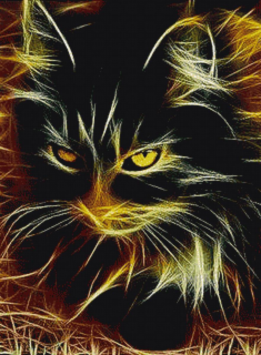 Черный кот - кот - предпросмотр