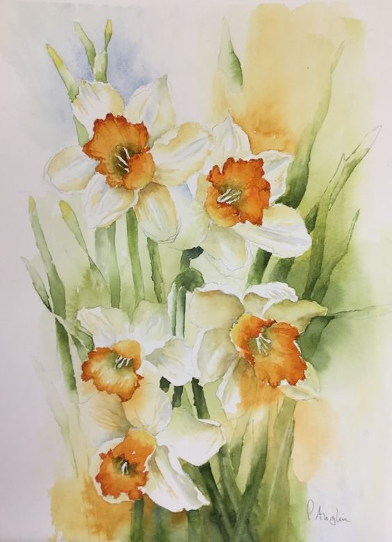 Нарцисы - нарцисы - оригинал