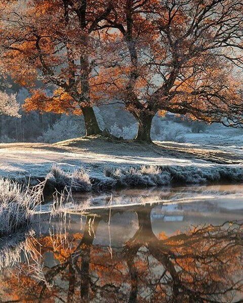 №2573732 - оригинал