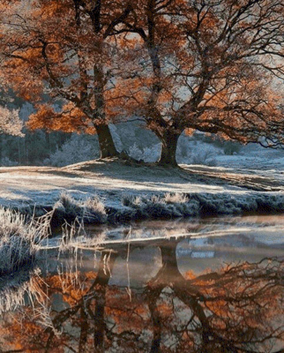 №2573732 - предпросмотр