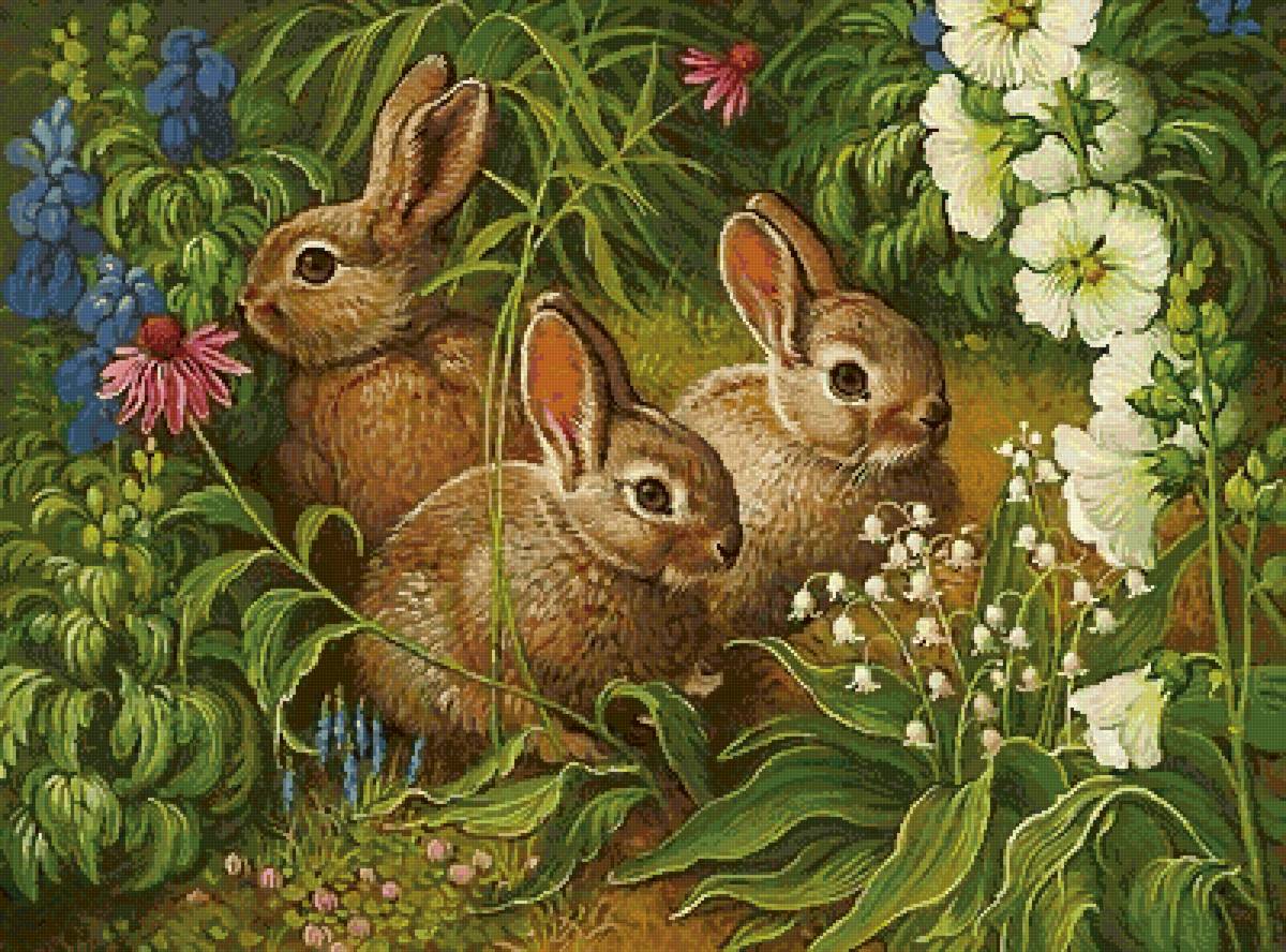 №2573891 - животные, кролики - предпросмотр