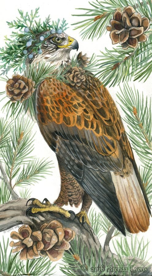 Хищник - хищник, птица - оригинал